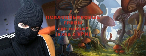 бутират Няндома