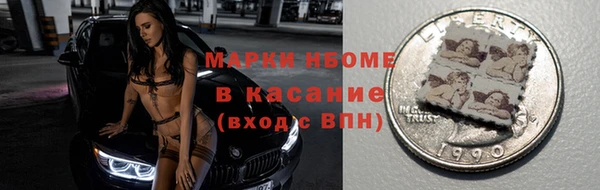 индика Осташков
