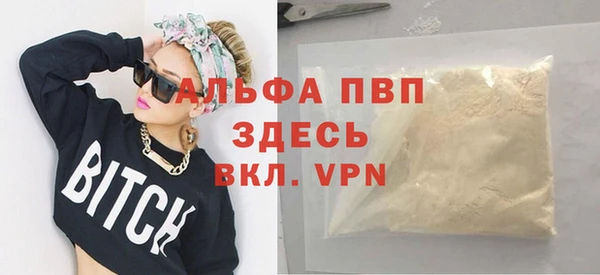 индика Осташков