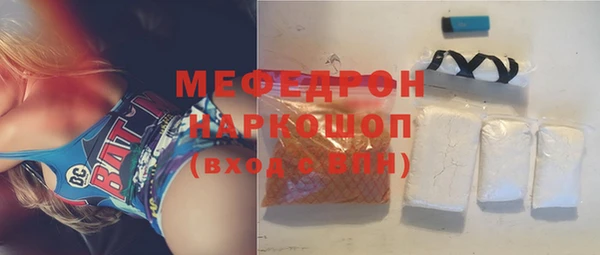 индика Осташков