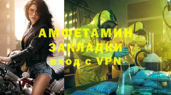 индика Осташков