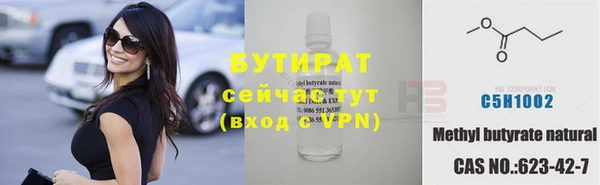 индика Осташков
