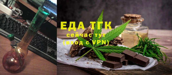 индика Осташков