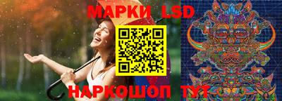 mdpv Дубна