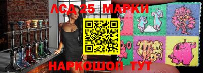 гашик Гатчина