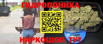 гашик Гатчина