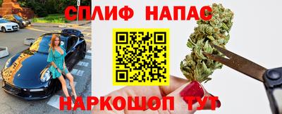 эйфоретик Гай