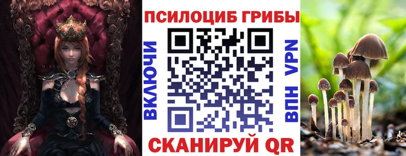 Псилоцибиновые грибы мицелий  Заводоуковск 