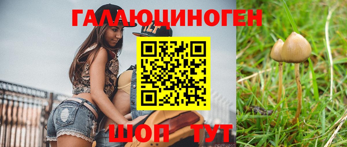 продажа наркотиков  Вход с VPN  Заводоуковск  Псилоцибиновые грибы Magic Shrooms  Псилоцибиновые грибы мицелий 