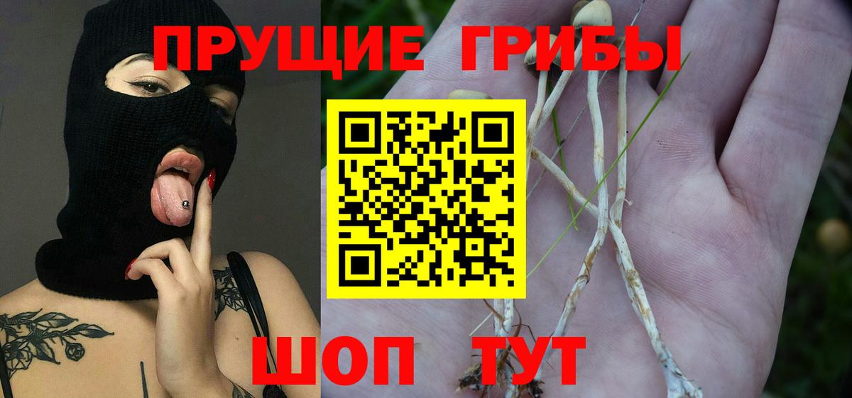 Экстази  Cocaine  Метамфетамин  ГАШ  Вход с VPN  Лсд 25  Заводоуковск  Меф   Кокаин 