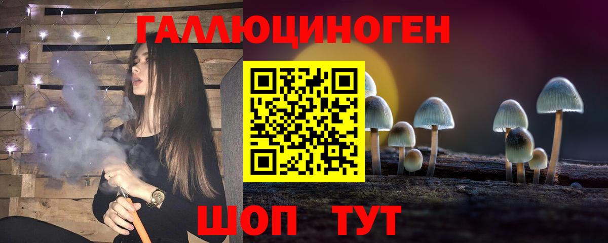 Галлюциногенные грибы Cubensis Заводоуковск